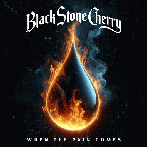 Black Stone Cherry : When the Pain Comes